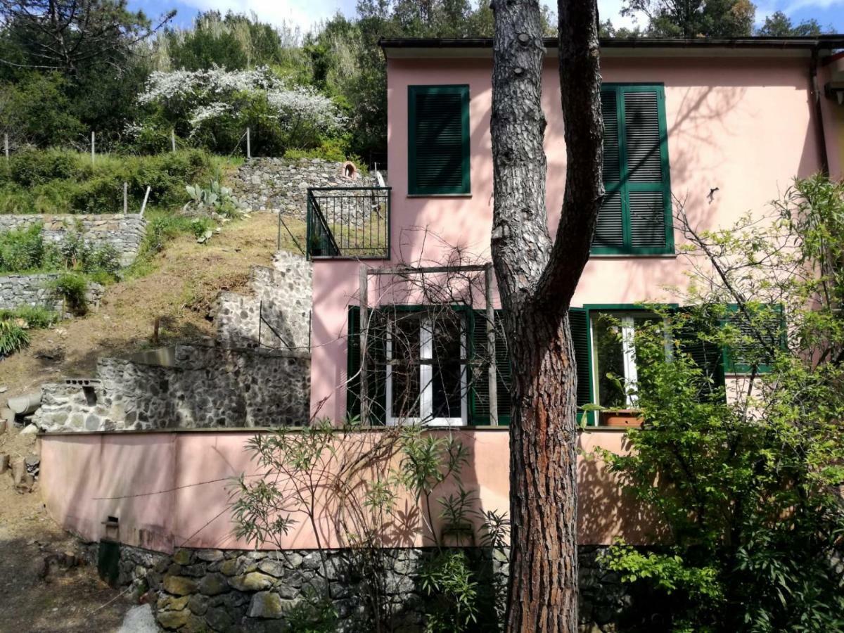 Terrace & Parking - Holiday Home Near Fegina Beach Μοντερόσο αλ Μάρε Εξωτερικό φωτογραφία